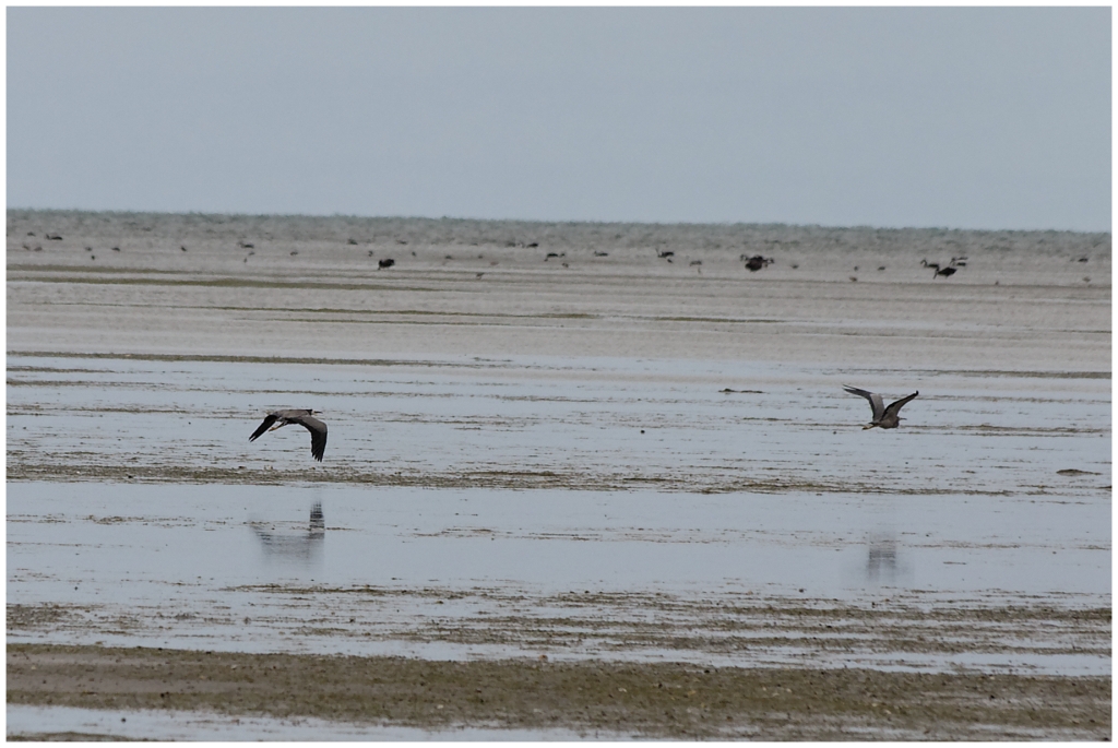 11 - Cape Farewell (07).jpg